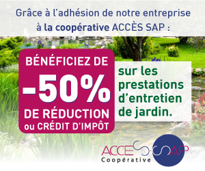 Acces sap